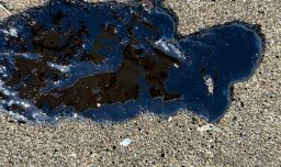 Alerta ambiental: Detectan "sustancia viscosa" en Playa Ritoque