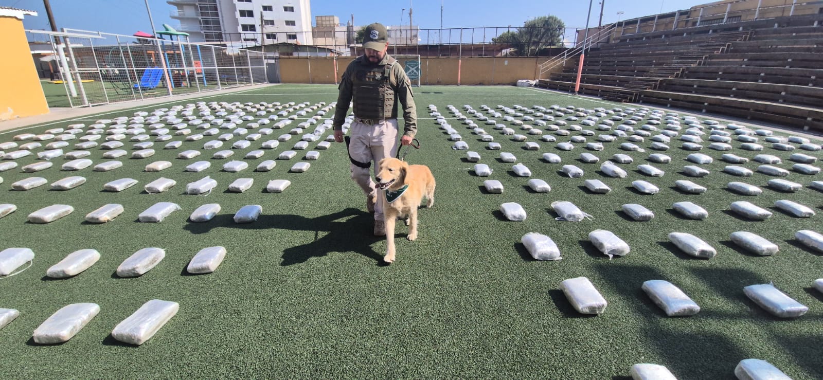 Incautan más de 700 kilos de marihuana en Antofagasta: Hay dos detenidos/Carabineros