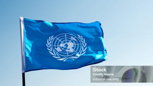 ONU rechaza uso indebido de su logo por parte de Martín de los Santos: 