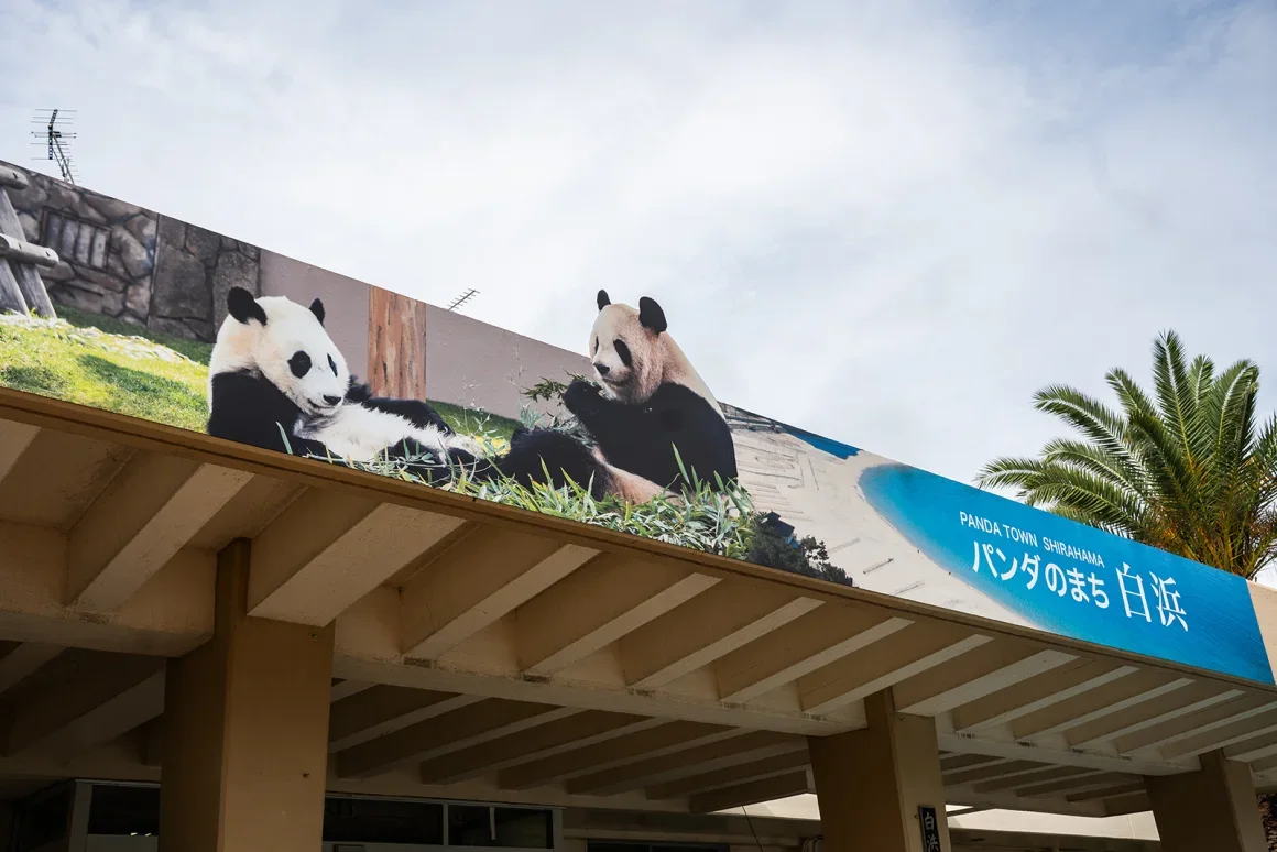 Adventure World ha sido el hogar de los pandas durante casi 31 años. Yumi Asada/CNN