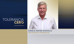 Tolerancia Cero: Harold Mayne-Nicholls y análisis del panel