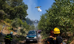Europa se encamina a su peor temporada de incendios forestales con temperaturas que superan los 38° C