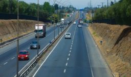 Accidente en Los Lagos: Invasión de 120 vacas en Ruta 5 Sur deja una persona lesionada y múltiples vehículos dañados