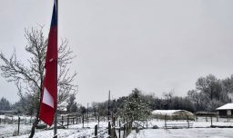 Emiten aviso por probables nevadas entre las regiones de Coquimbo y Biobío: ¿Cuándo será?