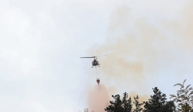 Alerta Roja en Copiapó por incendio forestal cercano a sectores habitados