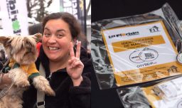 La Florida lanza collares con geolocalización para perros y gatos: 5 mil serán distribuidos gratis