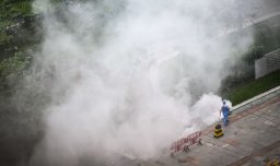 En el sur de China combaten peligroso virus denominado chikunguña: Es transmitido por mosquitos