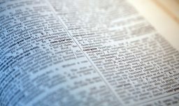¿Qué significan “skibidi”, “tradwife” y “delulu”? Revisa las últimas incorporaciones del Diccionario Cambridge