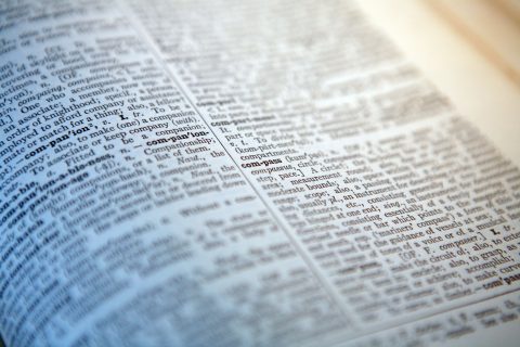 ¿Qué significan “skibidi”, “tradwife” y “delulu”? Revisa las últimas incorporaciones del Diccionario Cambridge