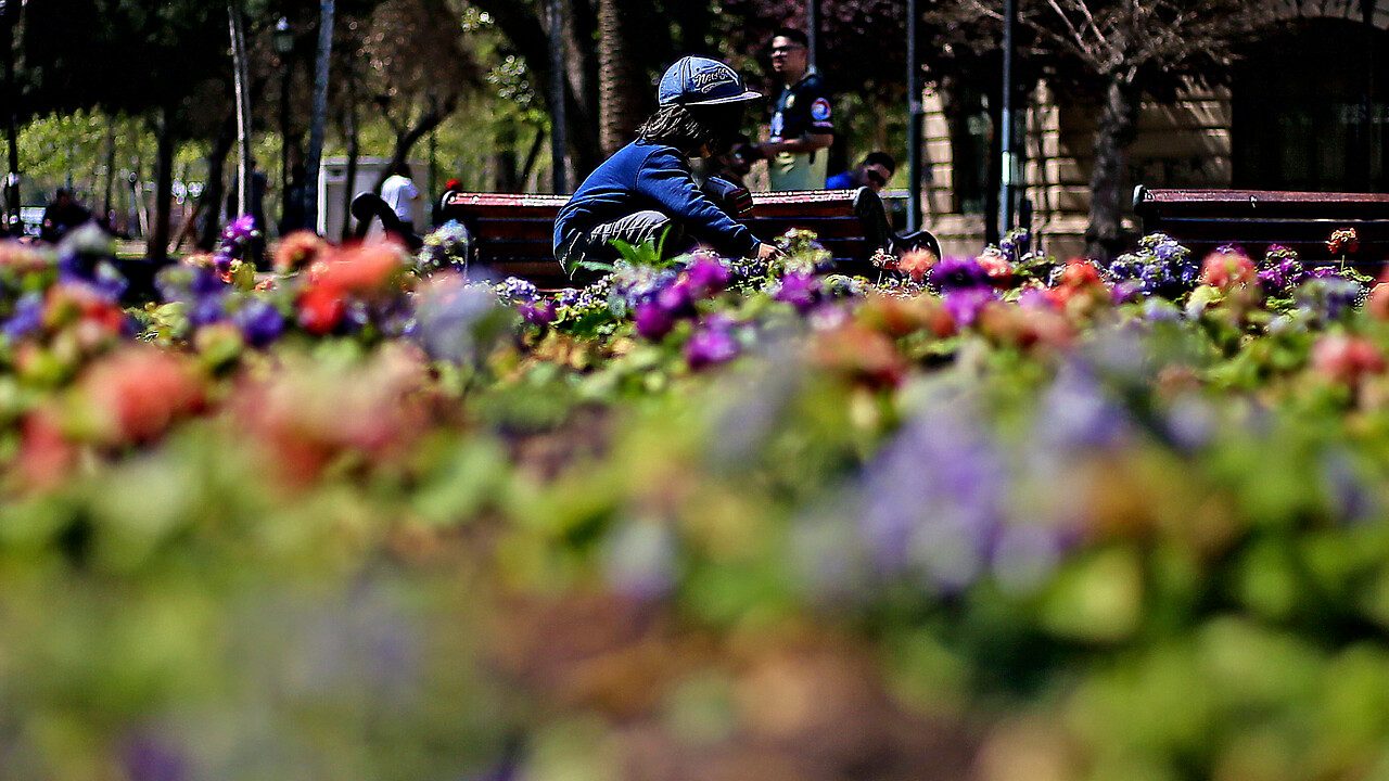 Equinoccio de Primavera: ¿A qué hora se producirá el cambio de estación?/Agencia Uno