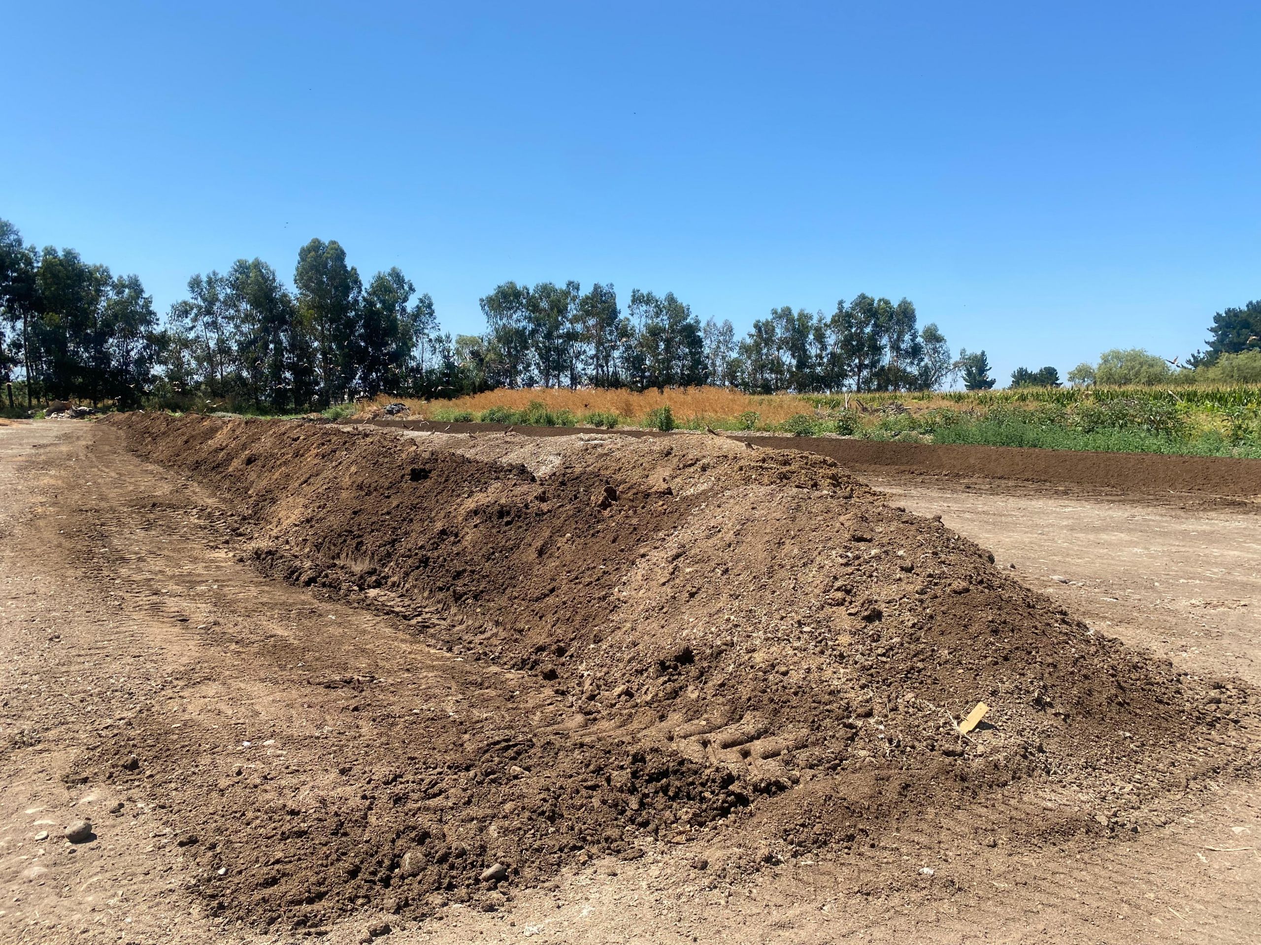 SMA formula cargos contra la empresa Avícola Eduardo Reinero Spa por incumplimientos ambientales/SMA