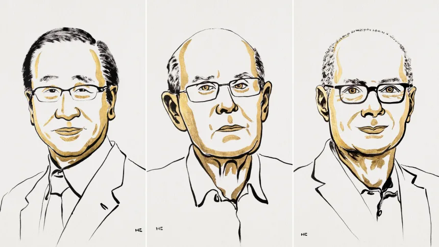 Los galardonados fueron elogiados por desarrollar "un nuevo tipo de arquitectura molecular". Niklas Elmehed/Difusión del Premio Nobel