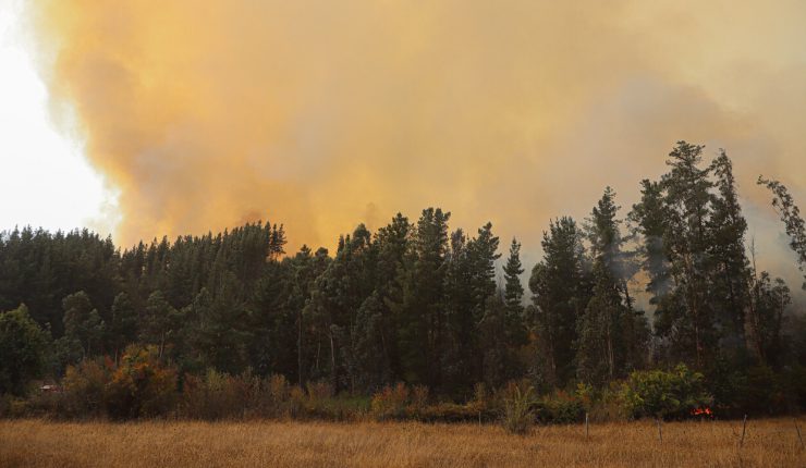 Conaf: Más de 25 comunas en Chile con Botón Rojo por incendios forestales Conaf: Más de 25 comunas en Chile con Botón Rojo por incendios forestales