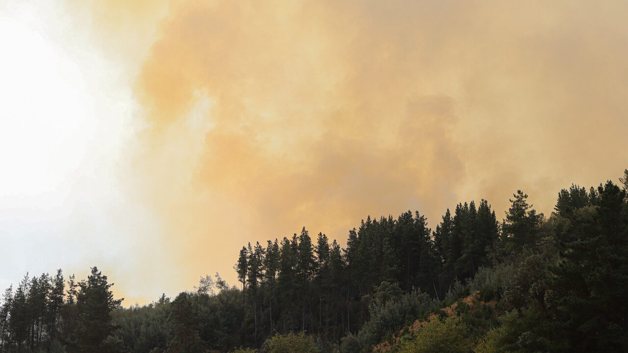 Senapred declara alerta roja en Ancud por incendio forestal: Está "cercano a sectores poblados"