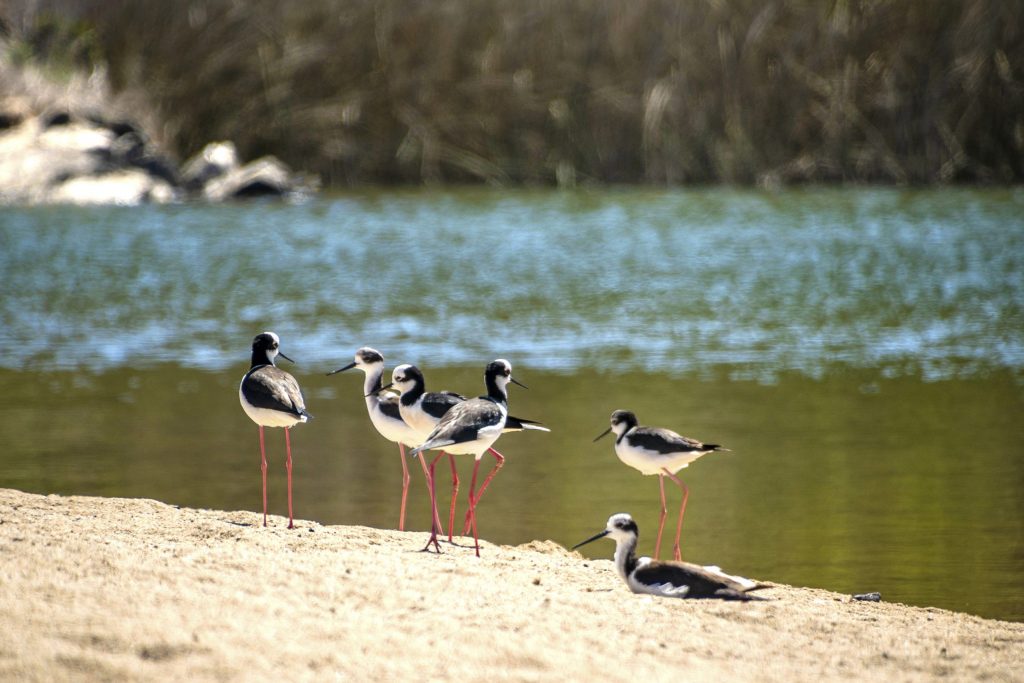 Fundación Kennedy extiende plazo para participar en el 6to Concurso Nacional de Fotografía 2025