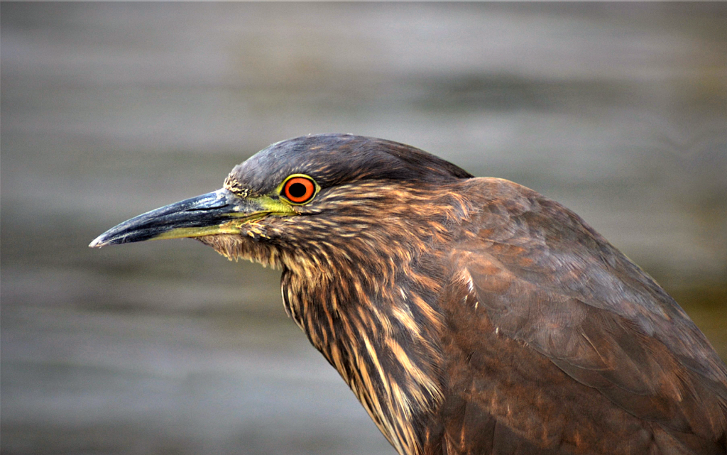 Fundación Kennedy extiende plazo para participar en el 6to Concurso Nacional de Fotografía 2025
