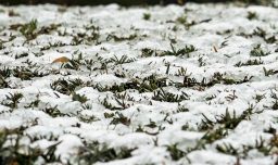 Suiza confirma 40 muertos y más de un centenar de heridos en incendio de bar en estación de esquí