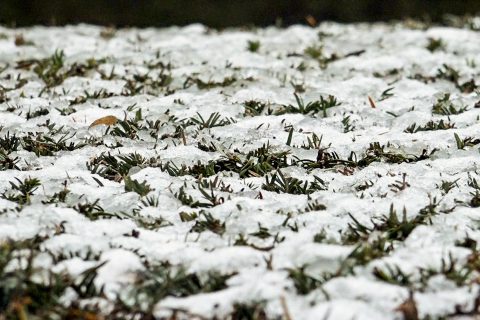 Suiza confirma 40 muertos y más de un centenar de heridos en incendio de bar en estación de esquí