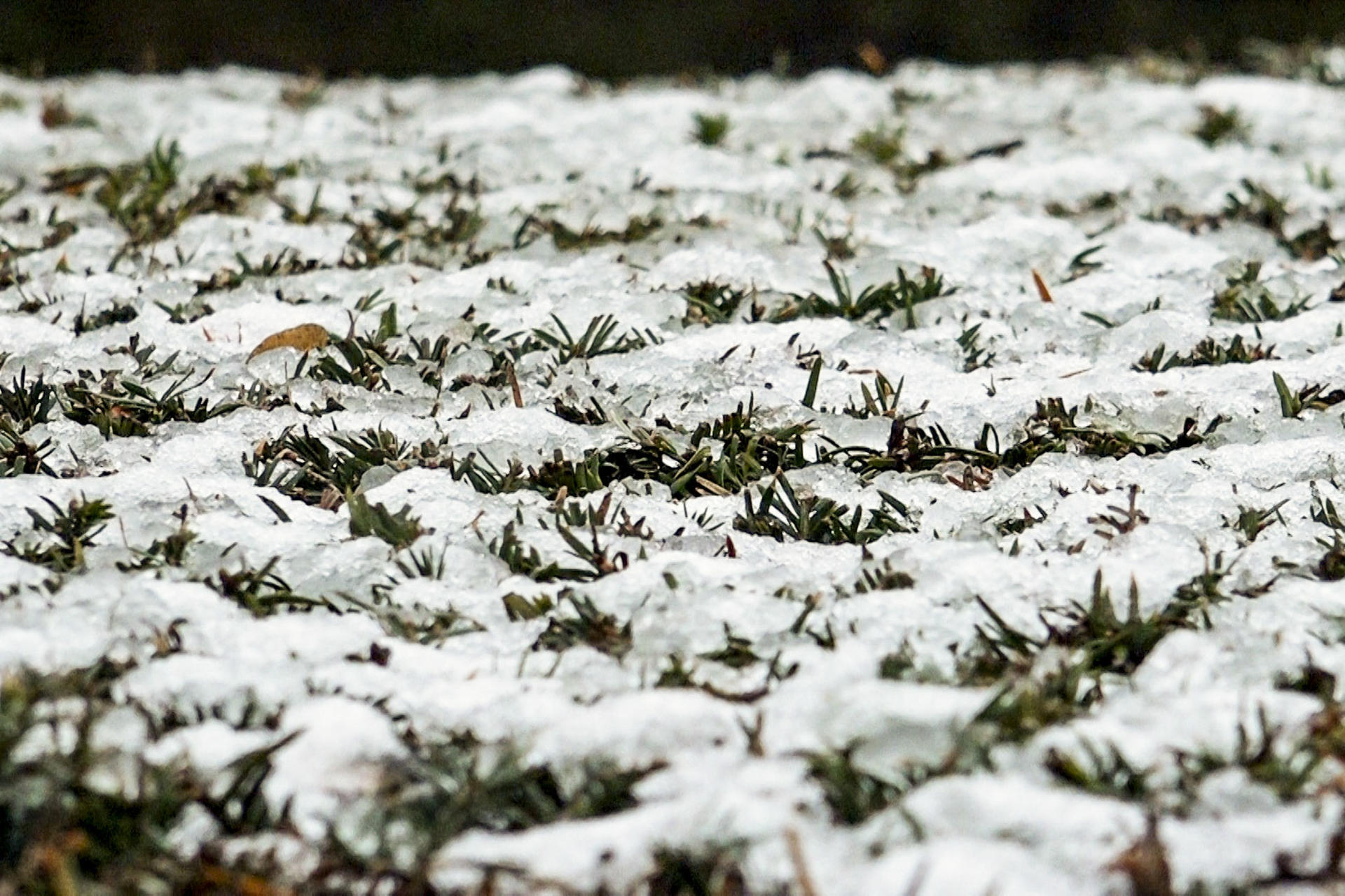 Media Europa está en alerta por frío polar y una fina capa de nieve cubre Bruselas. EFE/ Ignacio Blanco
