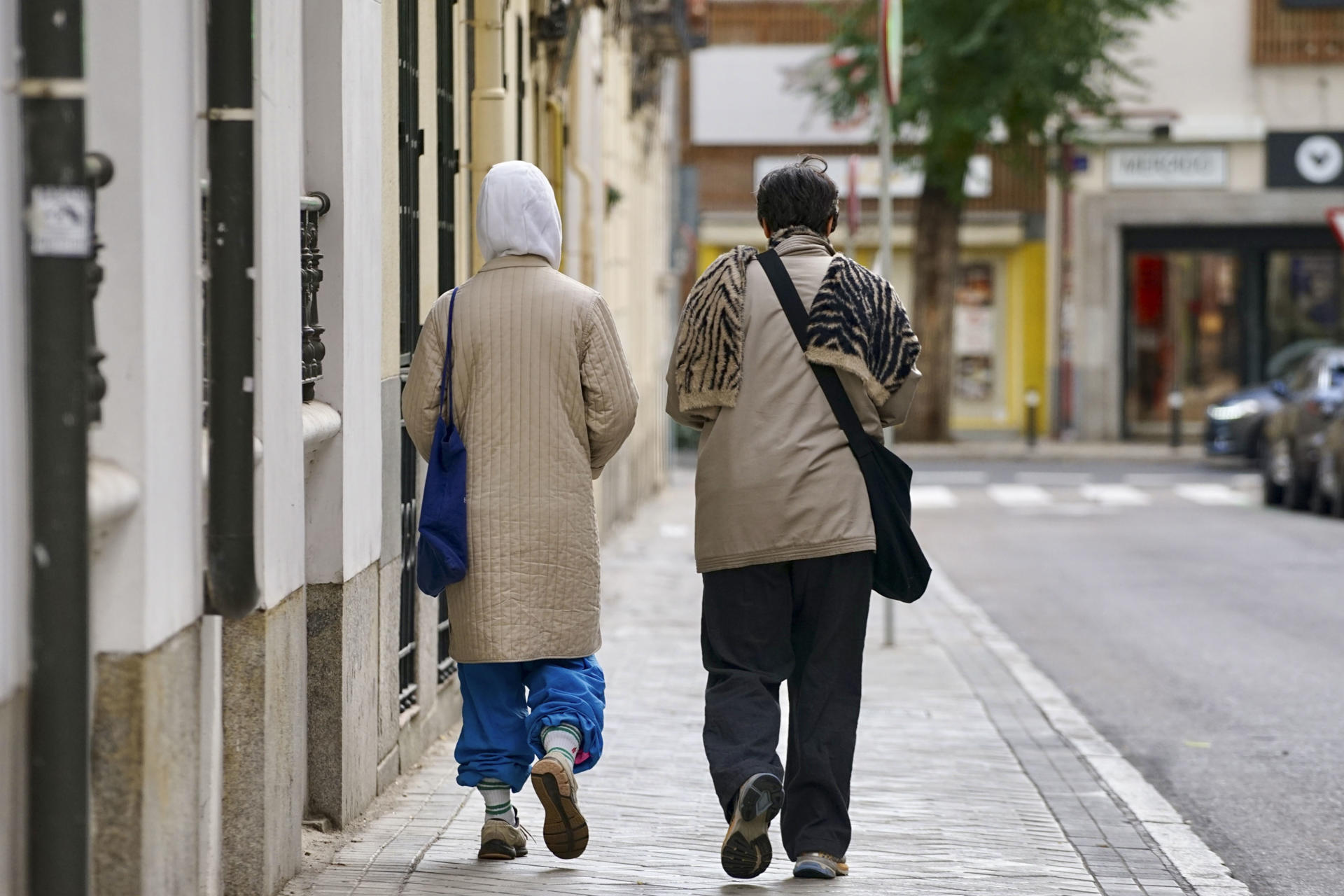 Media Europa está en alerta por frío polar y una fina capa de nieve cubre Bruselas. EFE/ Mario Morón