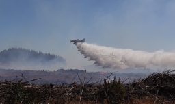 Incendios forestales: Conaf activa "Botón Rojo" en más de 100 comunas en todo el país para este fin de semana