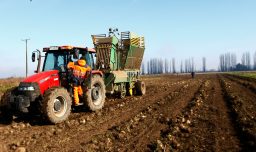 DMC emite Alerta Agrometeorológica por altas temperaturas entre Coquimbo y Ñuble: ¿Cuándo ocurrirá el fenómeno?
