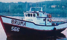 Caso Bruma: tripulantes del Cobra quedan con arraigo, firma quincenal y prohibición de contacto entre ellos y con Blumar