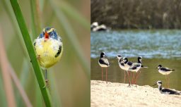 Fundación Kennedy extiende plazo para participar en el 6to Concurso Nacional de Fotografía 2025