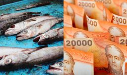 Pescadería deberá pagar más de $1 millón de multa por vender merluza en periodo de veda