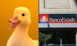 La disputa por el pato de BancoEstado: Hijos del creador exigen más de $3 mil millones al banco en demanda