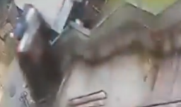 Milagro en São Paulo: Auto cayó espectacularmente por unas escaleras y su conductor salió casi sin heridas