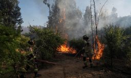 Alerta roja en Tiltil: Incendio forestal consumió 10 hectareas y deja ocho damnificado
