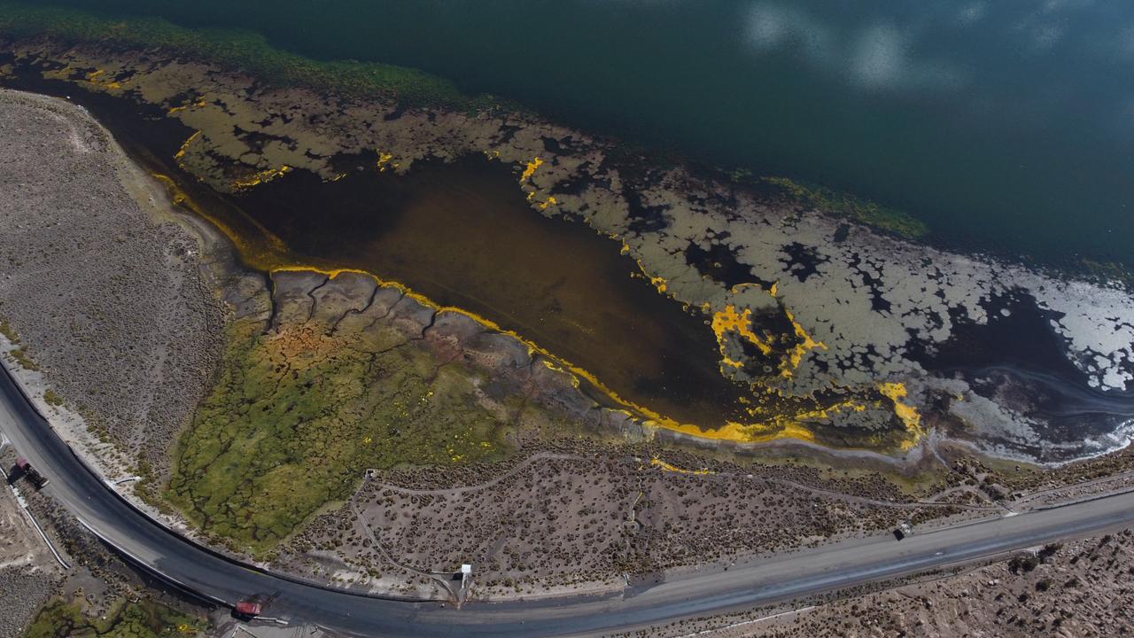 Cierra indefinidamente sector Chungará del Parque Nacional Lauca en Arica tras derrame de aceite/Conaf