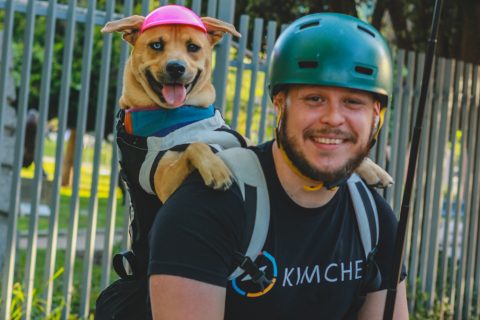 De la calle a "Gerente de Felicidad": Bandida del Carmen, la perrita influencer que revoluciona la educación en Chile