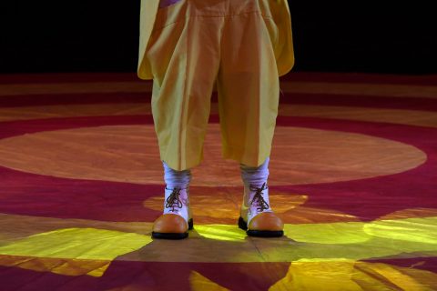 La Unesco reconoce al circo de tradición familiar de Chile como patrimonio inmaterial