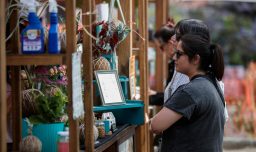 Chile alcanza casi 2 millones de microemprendedores: Más de la mitad trabaja en la informalidad, Según el INE