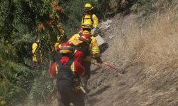 Incendios forestales en el Maule: Más de mil hectáreas afectadas y dos viviendas siniestradas
