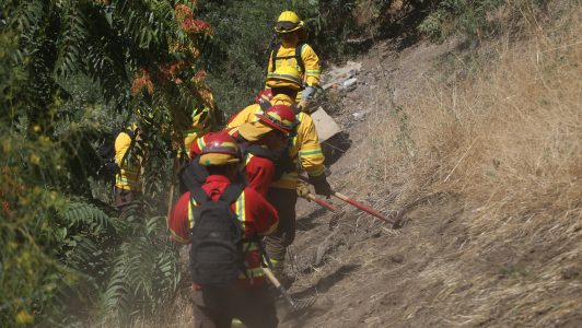 Incendios forestales en el Maule: más de mil hectáreas afectadas y dos viviendas siniestradas
