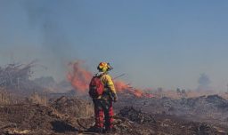 Gobierno decreta duelo en Región de O´Higgins tras muerte de comandande de Bomberos durante combate de incendio en Litueche
