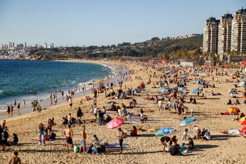 Verano 2026: Conoce la app que te guía para visitar playas habilitadas a lo largo de Chile