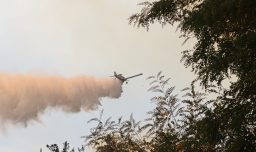 Incendio forestal en San Pedro ha consumido 450 hectáreas: Equipos de emergencia trabajan en el lugar