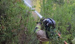 Decretan alerta roja para comuna de la Región de la Araucanía por incendio forestal