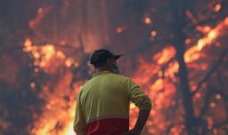 Emergencia por incendio forestal genera evacuaciones preventivas en La Serena