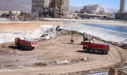 INE: Tasa de desempleo fue de 8,4% en el trimestre septiembre-noviembre de 2025