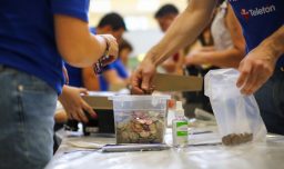 Teletón revela la recaudación total de la campaña 2025: ¿Cuántos miles de millones se juntaron?