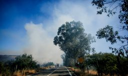 Región de O'Higgins: Senapred solicita evacuar la Población 1 de Mayo en Pichidegua por incendio forestal
