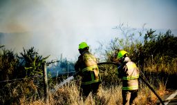 Nueve incendios forestales activos arrasan más de 1.900 hectáreas y mantienen alertas rojas en O’Higgins y el Maule