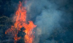 Conaf activa plan de contingencia por incendios forestales desde la Región Metropolitana hasta La Araucanía