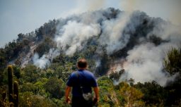 Conaf alerta por incendios forestales y advierte: “El 99,7% de los siniestros en Chile son provocados por las personas”