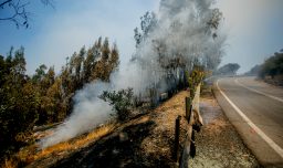 Gerente de Protección contra Incendios de Conaf reiteró llamado a la precaución ante condiciones que favorecen los siniestros